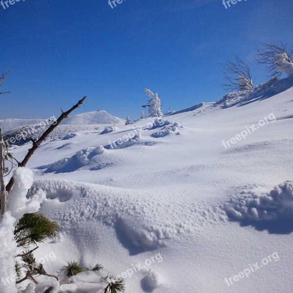 Winter Krkonoše Giant Mountains Snow Winter In The Mountains View