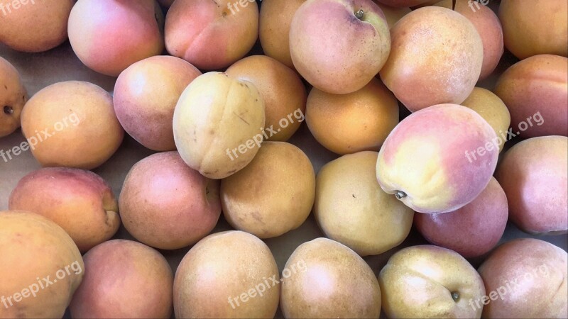 Fruit Apricots Apricot Pera Nature