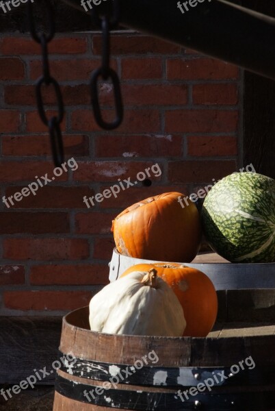 Pumpkins Green Orange Wall Brick