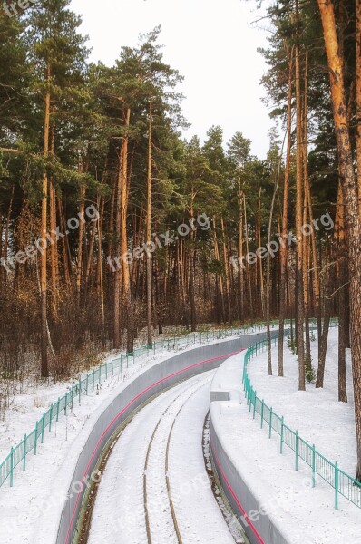 Winter Forest Railway Snow Winter Forest