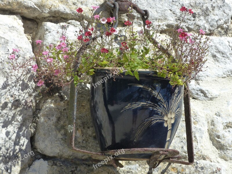 Garden Lot Flowers Pot Wall