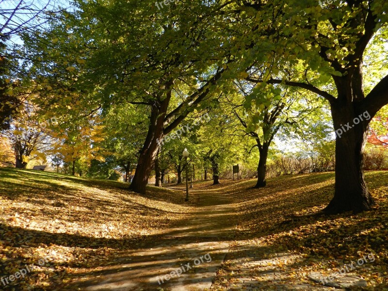 Sunday Park Nature Leisure City