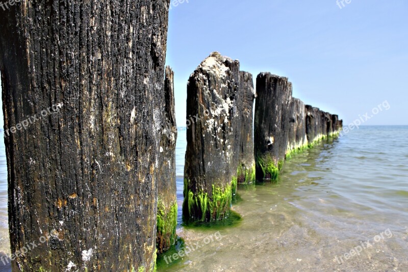 Sea Summer Water Breakwater Algae