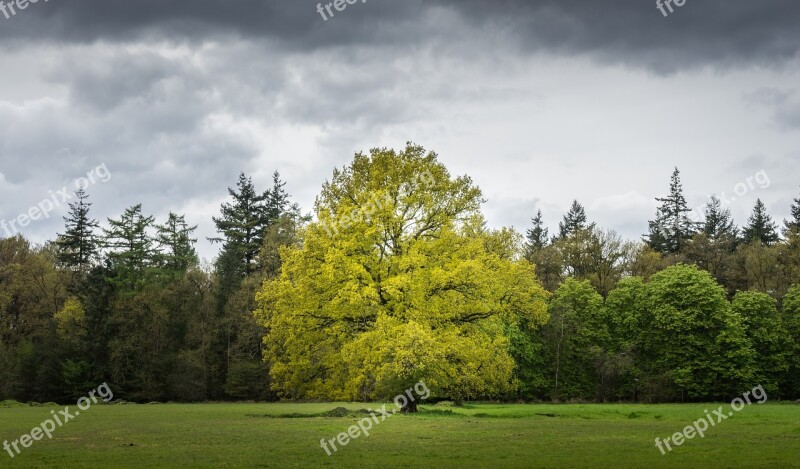 Europe Netherlands Utrecht Amersfoort Leusden