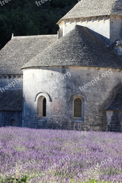 France Provence Lavender Field Building