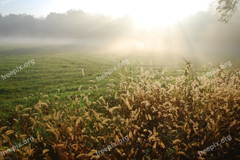 Light Sun Prato Park Nature