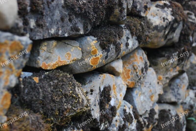 Wall Pyrenees Moss Lichen Rocks