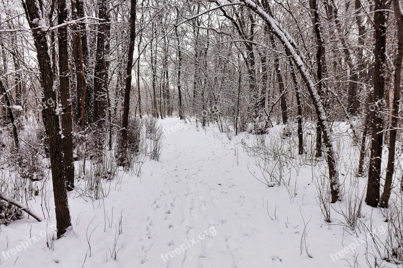 Winter Twilight Dark Grey Snow