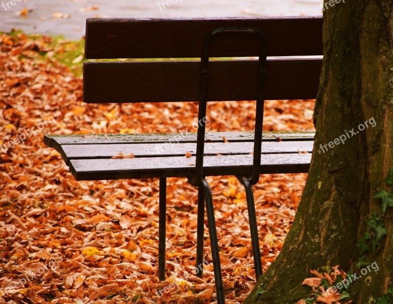 Bank Autumn Leaves Park Rest