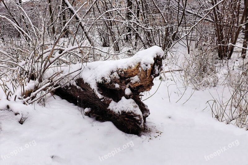 Winter Twilight Dark Grey Snow