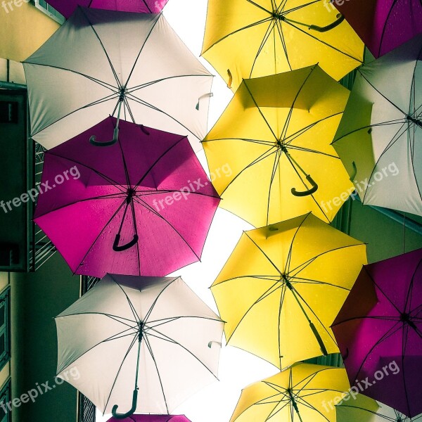 Umbrella Umbrellas Rain Arona Colors