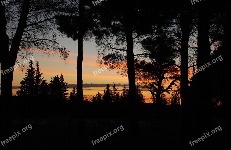 Landscape Sunset Trees Shadows Sky