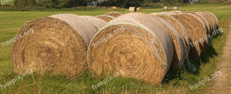 Hay Bales Summer Agriculture Hay Harvest