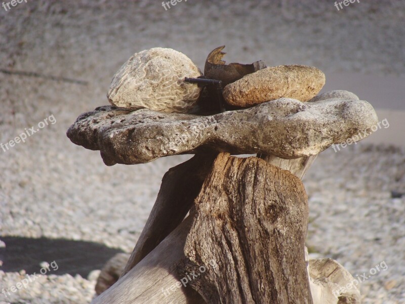 Still Life Bonaire Wood Free Photos