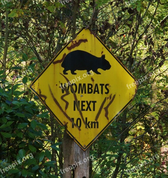 Wombat Shield Warning Sheet Rust