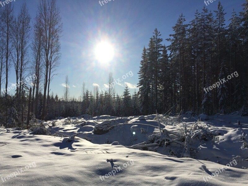 Sun Snow Winter Landscape Winter Landscape