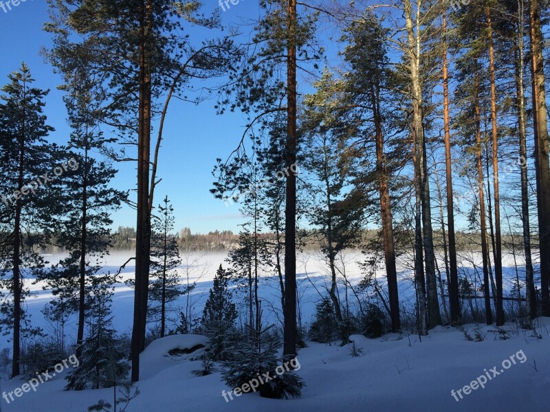 Winter Snow Snow Landscape Winter Landscape Freezing