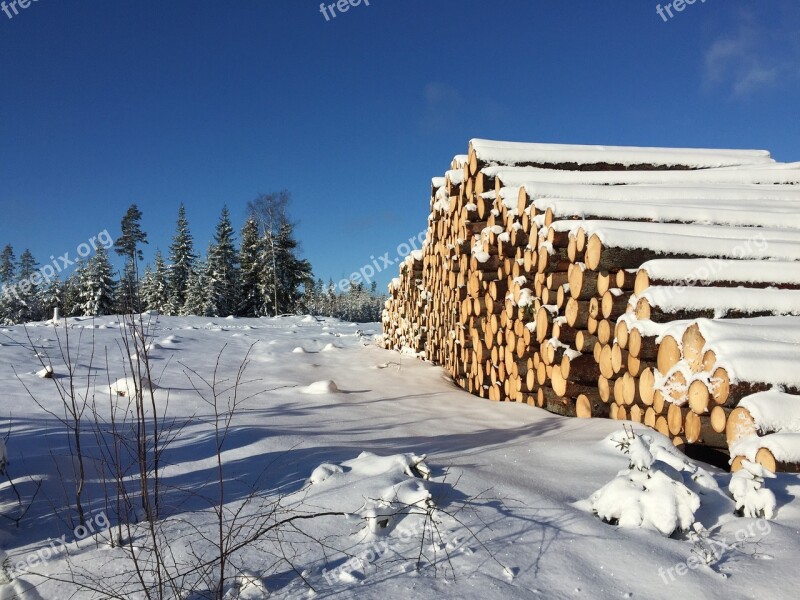 Winter Landscape Finland Felled Trees Blue Sky Blue