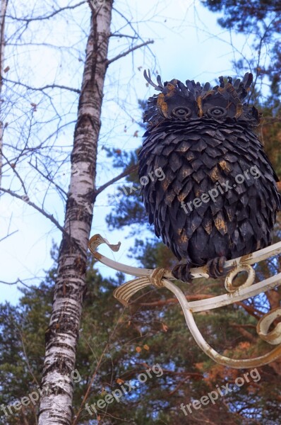 Owl Tree Sculpture Trees Park