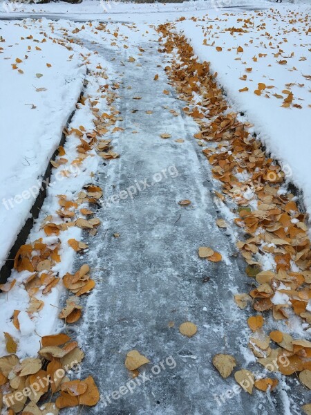 Winter Way Tracks The Nature Of The Snow