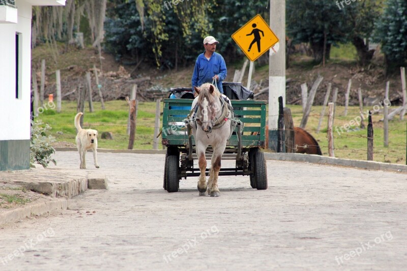 Peasant Cart Dog Field Work