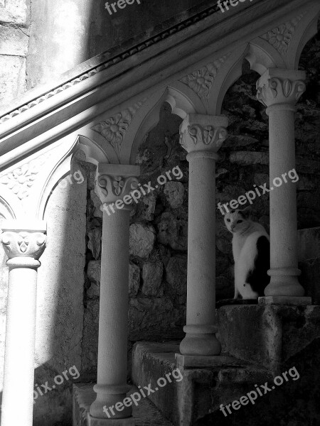 Staircase Cat Shadow Architecture Stone Fence