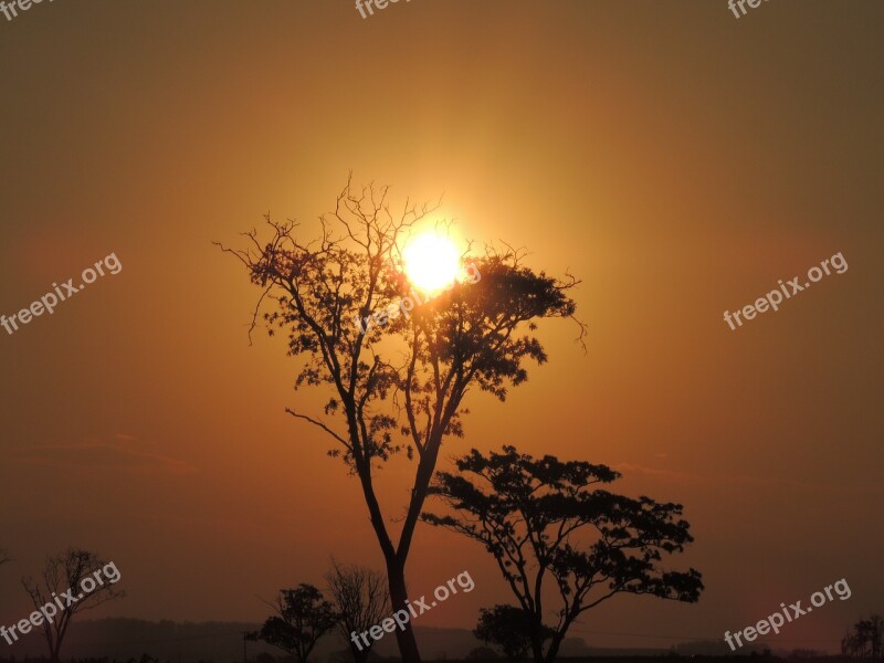 Sunset Eventide Sol Horizon Against Light