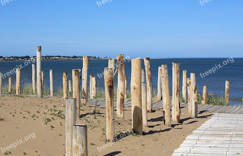 Beach Wood Sea Driftwood Sand