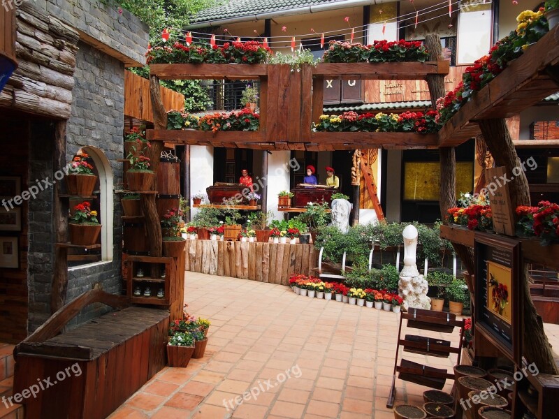 Vietnam Dalat Traditional Flowers Flowerpots