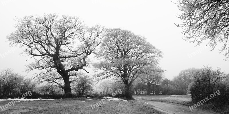 Wood Winter Fog Rim Frost