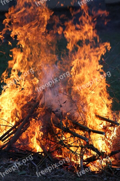 Fire Bonfire Flames Wood Burn