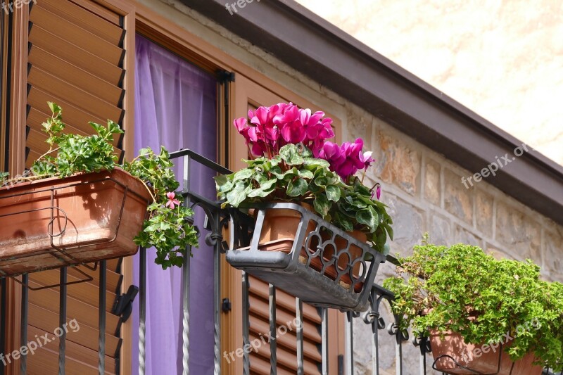 Balcony Flowers Flower Boxes Balcony Plant Flower Box