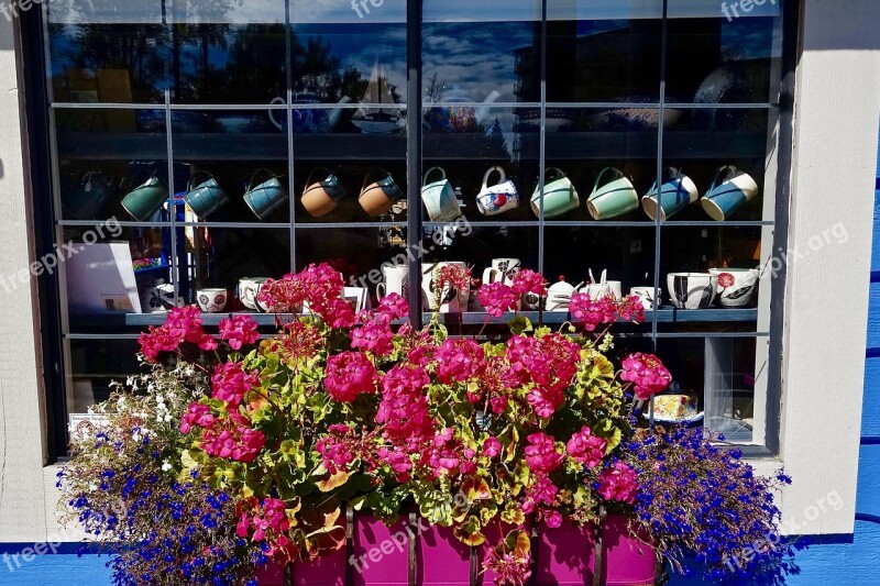 Cups Flowers Arrangement Display Window