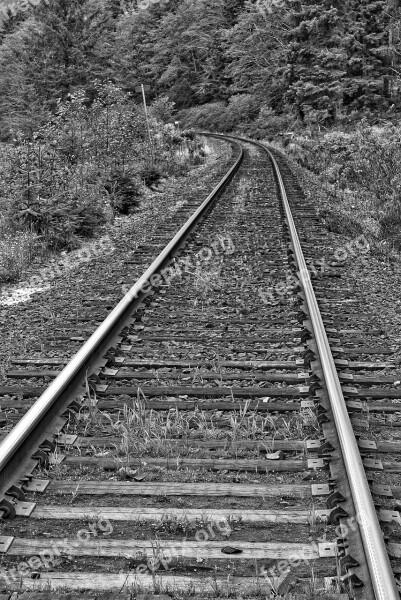 Railway Line Perspective Train Track Line Rail