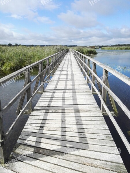 Boardwalk Lake Nature Waters Bank