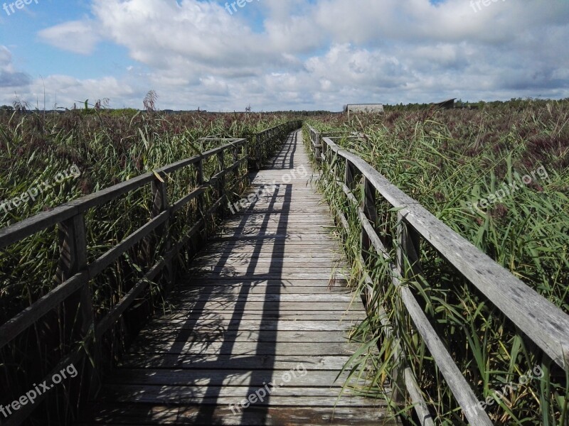 Boardwalk Reed Lake Nature Web