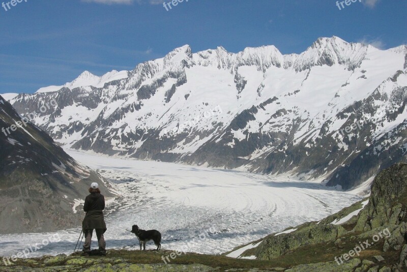 D Aletsch Glacier Mountain Switzerland Woman With A Dog Summit