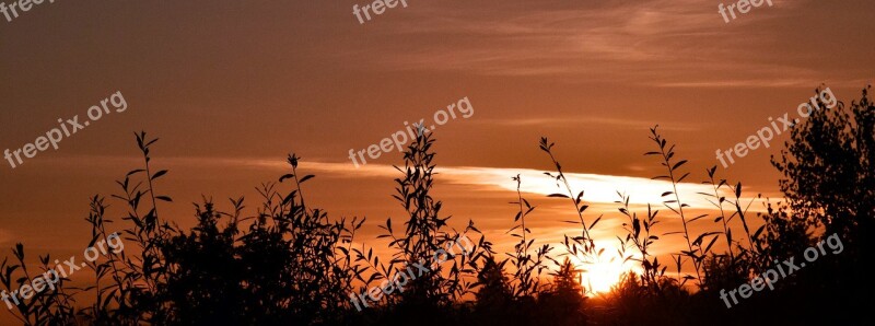 Sunrise Grasses Nature Grass Morgenstimmung