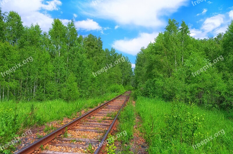 Summer Forest Road Sleepers Railway