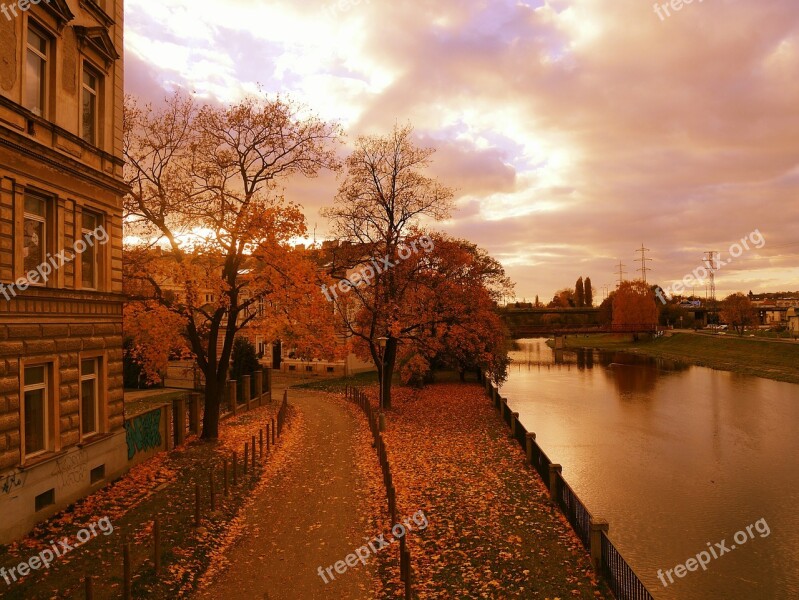 River Autumn Nature Trees Water