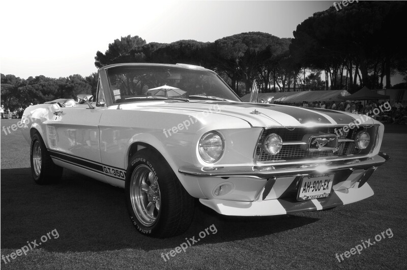 Ford Mustang Gt 350 Year