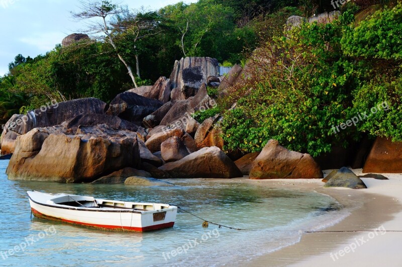 Mahe Seychelles Island Iceland Palm