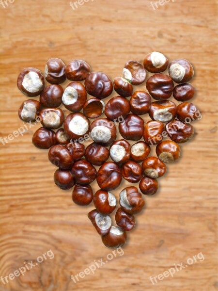 Heart Chestnut Chestnut Heart Autumn Nature