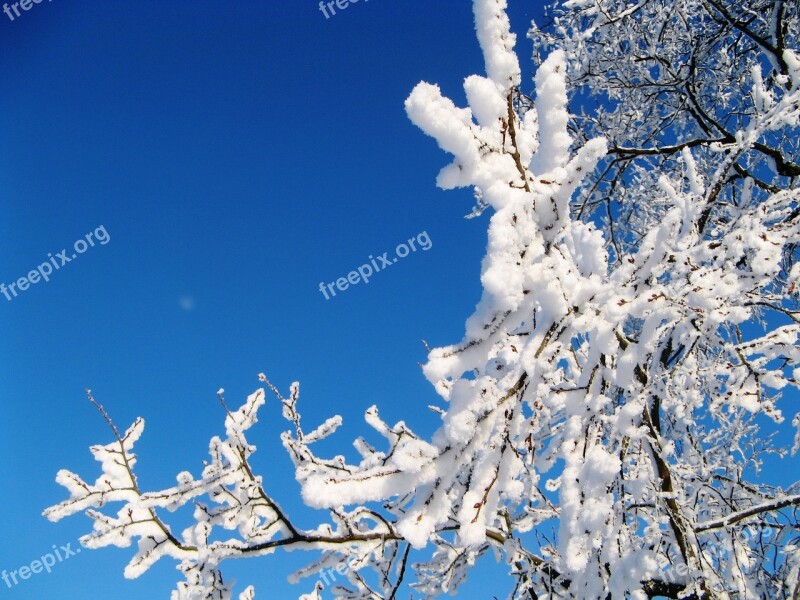 Russian Winter Beauty Nature Winter Snow