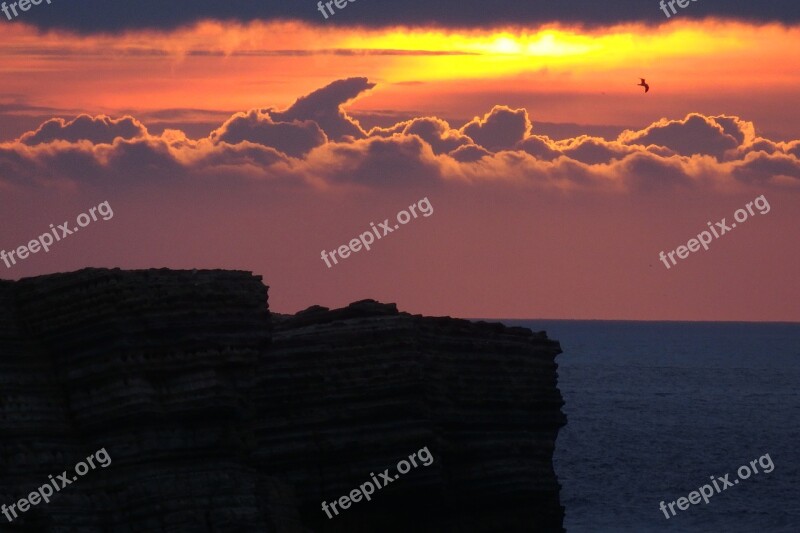 Portugal Sunset Peniche Baleal Seagull