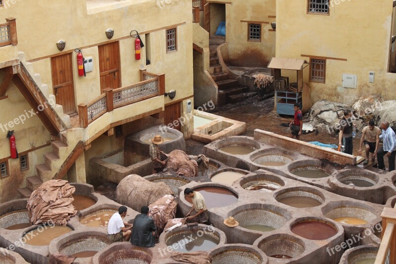 Tannery Morocco Skins Free Photos