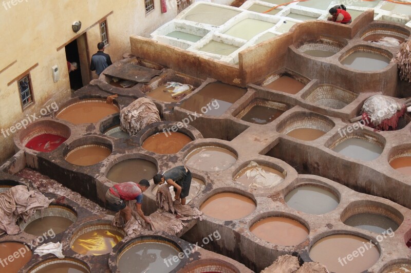 Tannery Morocco Skins Free Photos