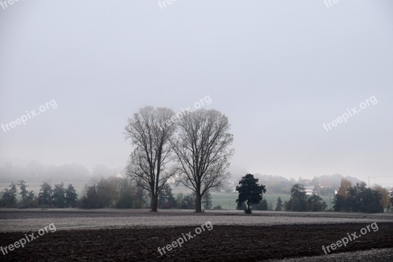 November Trees Landscape Fog Mood