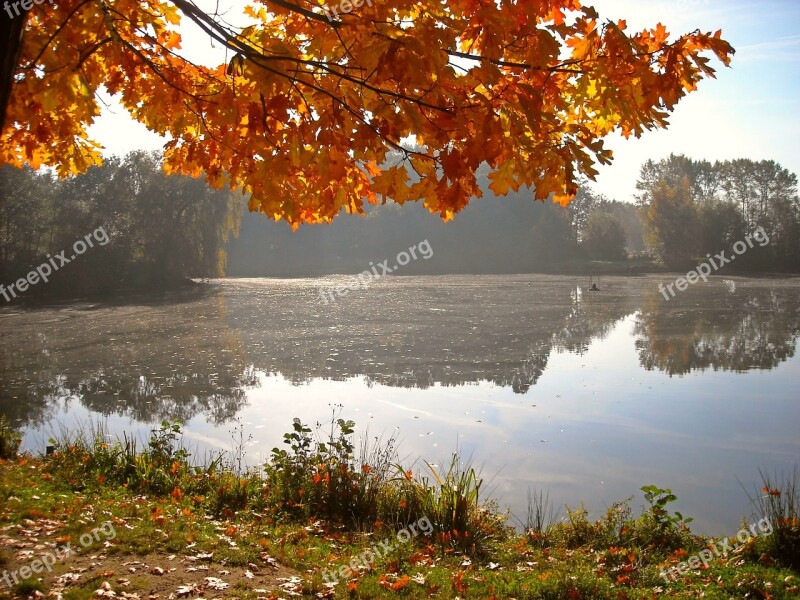 Nature Autumn Landscape Pond Water