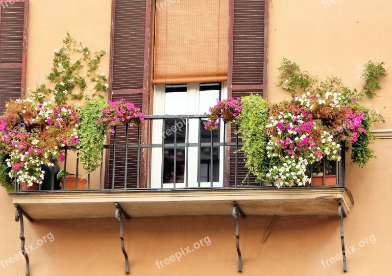 Romantic Facade Balcony Floral Decorations Free Photos